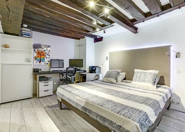 Luxury Loft Center Of Paris